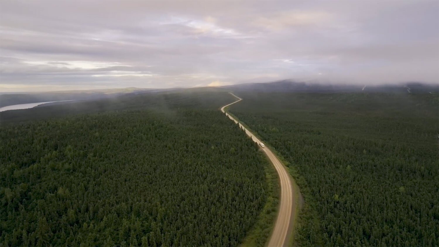 Dense forest roadway